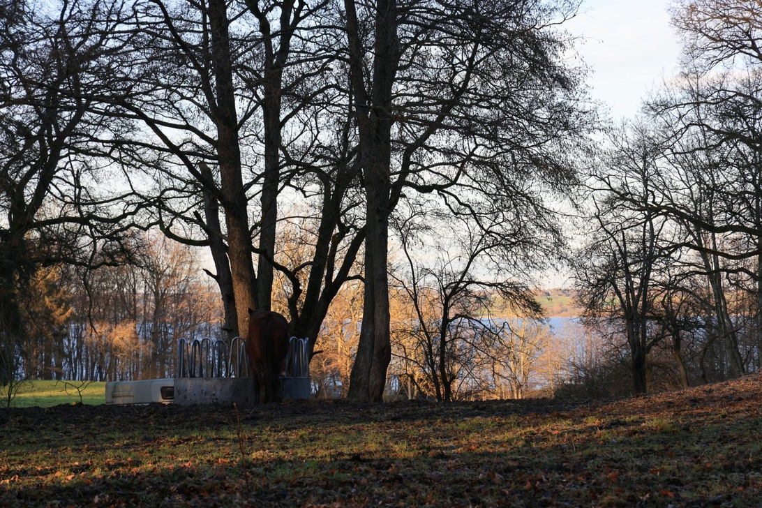 260A0705 (FILEminimizer).JPG